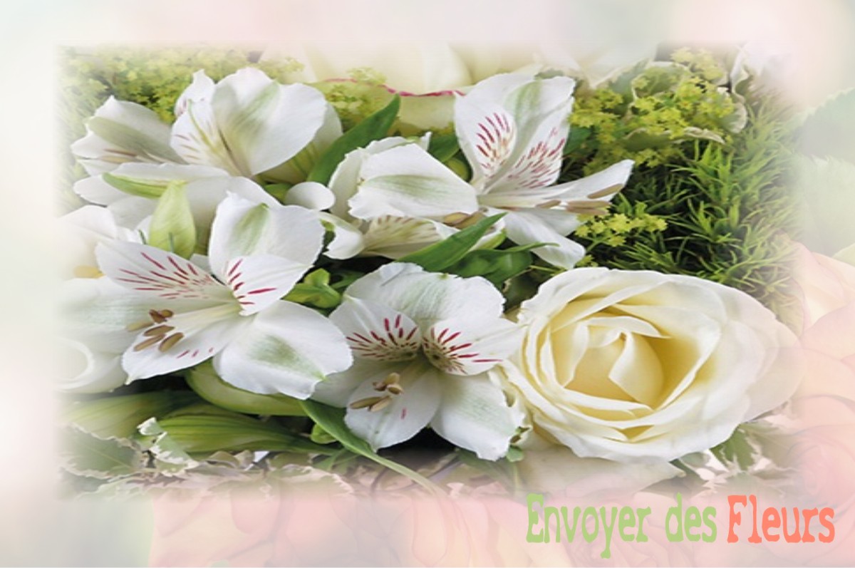 envoyer des fleurs à à SAINT-DENIS-DES-MONTS